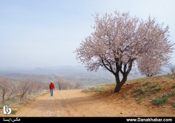 کوهپیمایی در یک صبح بهاری - سنندج