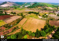 طبیعت هزار جریب نکا - مازندران