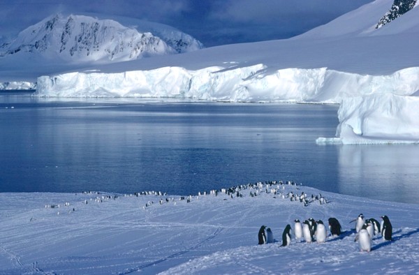 سفر به قطب جنوب با 3000 دلار