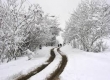 بارش برف و باران در ۴ استان کشور