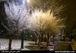 بارش نخستین برف زمستانی در پایتخت