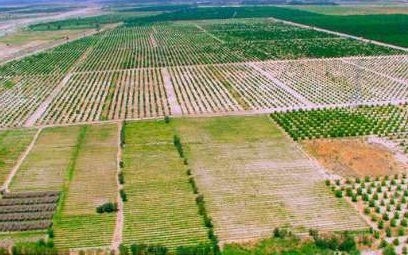 عکسبرداری هوایی از 7 میلیون هکتار اراضی کشاورزی آغاز شد