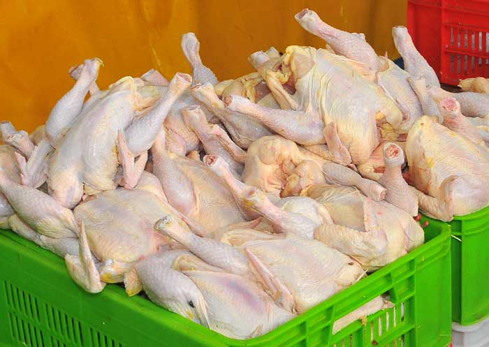 کدام مواد غذایی در هفته اخیر گران شدند؟ / مرغ با 8.8 درصد در صدر گرانی ها