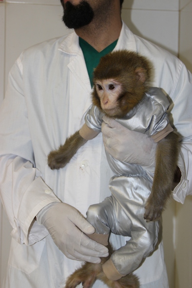 «فرگام»5 ماه پس از بازگشت/ ترغیب کودکان به فضا با کمک میمون فضانورد