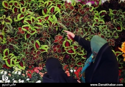 دوازدهمین نمایشگاه بین‌المللی گل و گیاه تهران