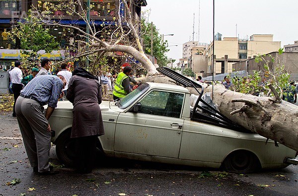 مصدوم شدن 11 نفر در پی دومین طوفات پرسرعت تهران