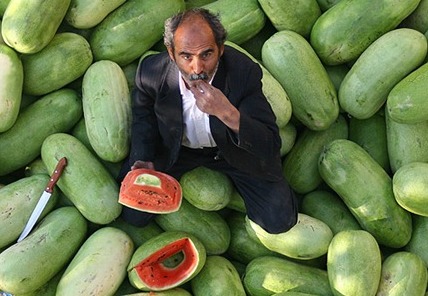 هندوانه؛ میوه مردمی برای خنکای روزهای گرم / هر ایرانی سالانه 41 کیلو هندوانه می‌خورد