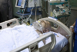 انتخاب دکتر صفی به عنوان سخنگوی تیم پزشکی رییس مجلس خبرگان رهبری / دکتر صفی: شرایط آیت الله مهدویکنی تغییری نکرده انتخاب دکتر صفی به عنوان سخنگوی تیم پزشکی رییس مجلس خبرگان رهبری / دکتر صفی: شرایط آیت الله مهدویکنی تغییری نکرده