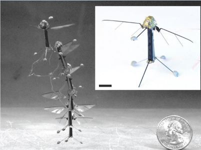 کوچکترین هواپیمای جهان با الهام از حشرات ساخته شد