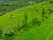 سفر به روستای زیبای پلام و گشت و گذار در شالیزارهای پلکانی
