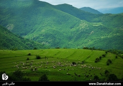 طبیعت ارسباران