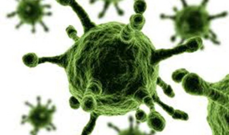 جدیدترین ویروس تنفسی مرگبار با نام مرس کورونا/ ویروسی که از حجاج به داخل کشور راه یافته است