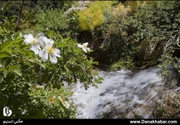دریاچه کوه گل