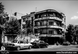 رها شده در شهر