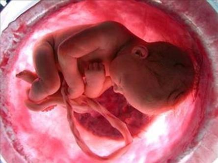 انتقال ترس مادر به نوزاد از طریق ثبت در خاطره ذهنی جنین