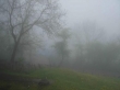سفر به خطه سر سبز شمال و حیرت زده از طبیعت بکر روستای حیرت