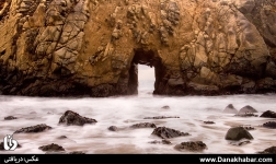 طبیعت زیبا