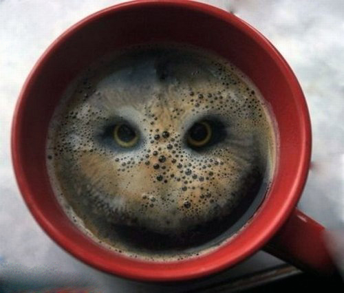 رویاهایی که ته فنجان قهوه می خشکد/ گزارش خواندنی ازفالگیری و فنجان های قهوه