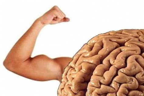 تاثیر مثبت ورزش های قدرتی بر فعالیت مغز