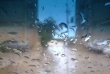 سه شنبه در تهران باران می بارد / کاهش دمای 10 درجه ای سواحل خزر