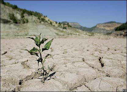 جزئیات 10 دوره خشکسالی در ایران