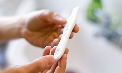 آشنایی با حقایق باروری برای بارداری با برنامه ریزی/ چگونگی تخمک گذاری و باروری