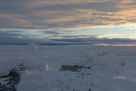 کشف آلودگی شیمیایی در قطب جنوب