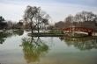 باغ گیاه شناسی، بهشت هزار‌رنگ ایران در تهران