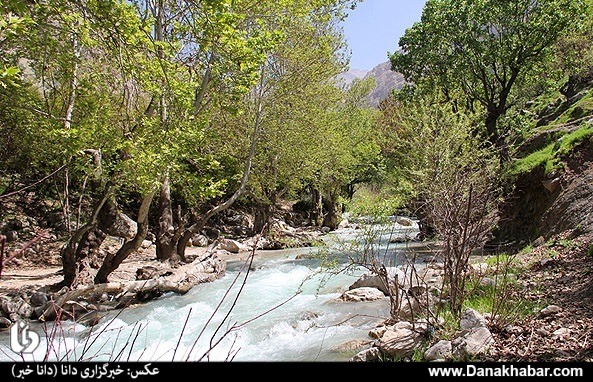 مال آقا کجاست؟