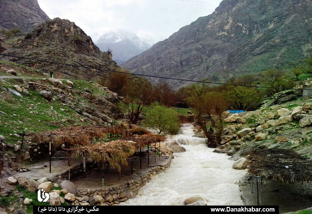 مال آقا کجاست؟