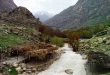 مال آقا کجاست؟