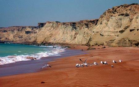 عید کجا بروم؟