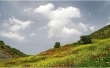 وابستگی حیات کشور به اکوسیستم زاگرس
