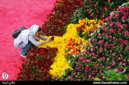 افتتاح نمایشگاه گل و گیاه