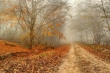 قله سوردار