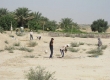 نجات تاریخ 7000 ساله در خوزستان