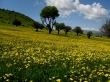 دریاچه ویستان بره سر