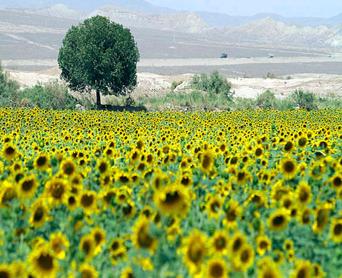 سفر امروز داناخبر به استان سمنان است