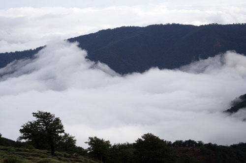 سفر امروز داناخبر به استان سمنان است