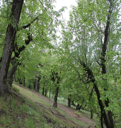 سفر امروز داناخبر به استان سمنان است