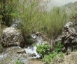 معرفی روستای خوش آب و هوای کن