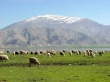 سراب ملوسان همدان