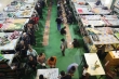 تهران چگونه به سرپناهی برای آسیب‌دیدگان اجتماعی تبدیل شد