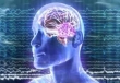 آغاز طرح ملی اپیدمیولوژی صرع/ تحمیل عوارض دارویی به بیماران مبتلا به صرع
