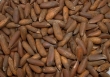 خواص شگفت‌انگیز چلغوز