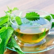 گزنه و لیموترش برای مقابله با کم خونی + روش تهیه