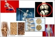 3 راه طبیعی برای پیشگیری از پوکی استخوان
