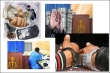 دزد اینترنتی پسر 13 ساله خانواده بود