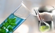 ارائه دستاوردهای دانشگاه علوم پزشکی اهواز در جشنواره ملی گیاهان دارویی