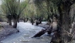 فیروزکوه بسته شد